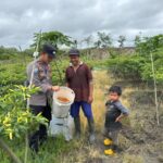 WhatsApp Image 2026 02 25 at 11.01.06