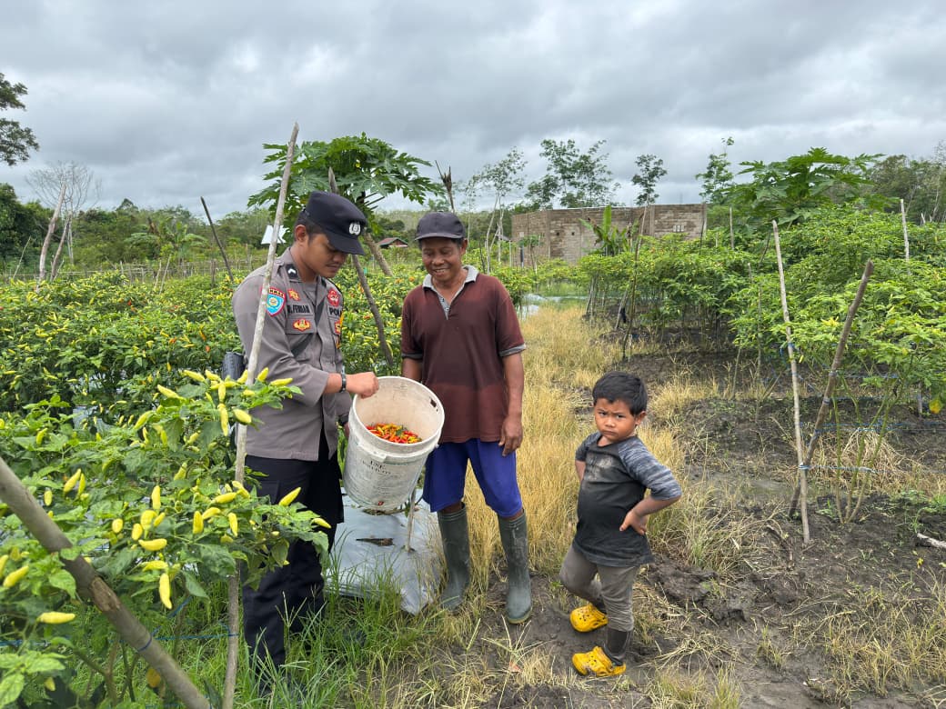 WhatsApp Image 2026 02 25 at 11.01.06