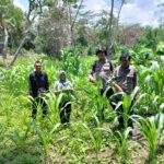 WhatsApp Image 2026 02 26 at 08.51.54