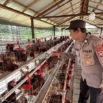 WhatsApp Image 2026 02 27 at 08.33.51