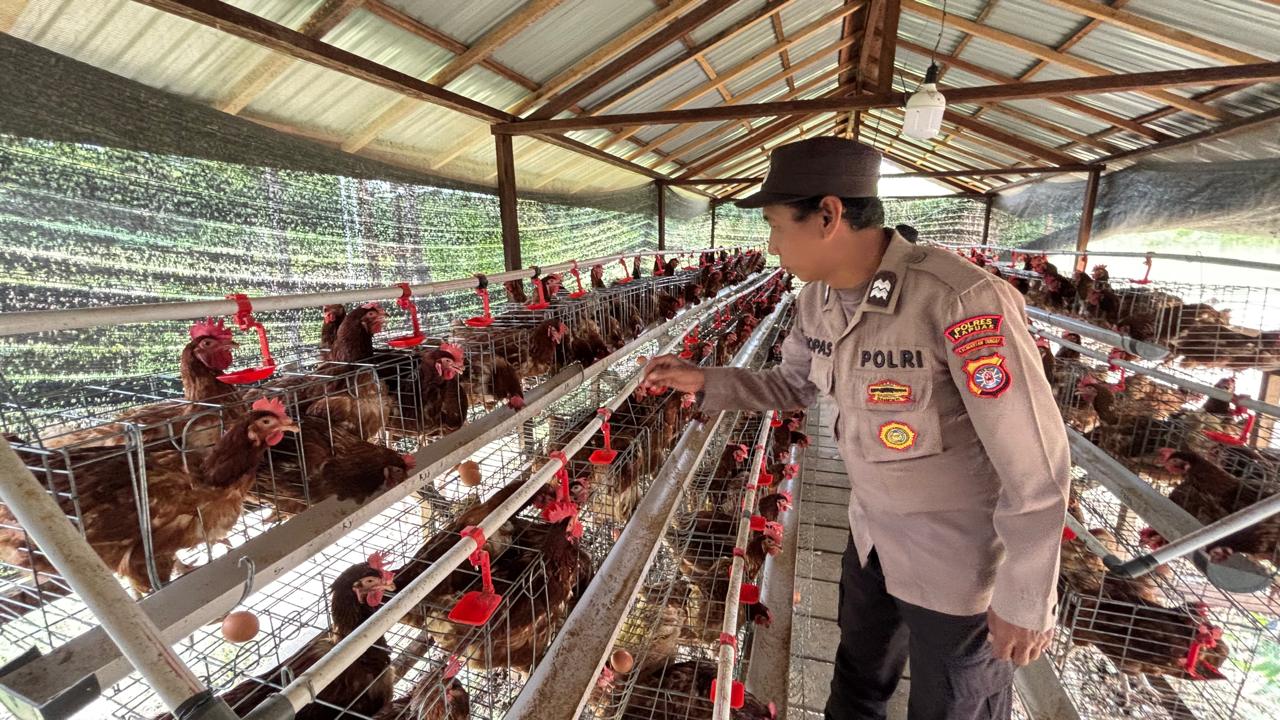 WhatsApp Image 2026 02 27 at 08.33.51