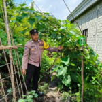 C3f00723c3bea36ea13af2c6be24ca42