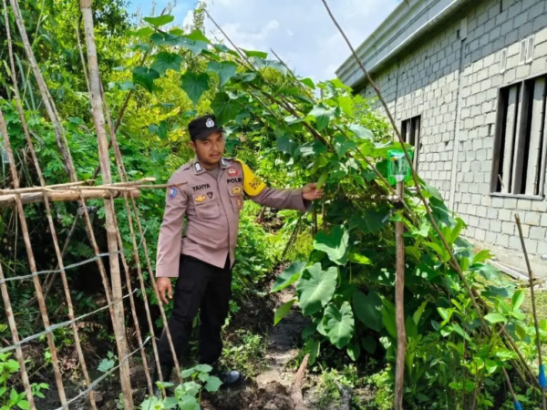 C3f00723c3bea36ea13af2c6be24ca42