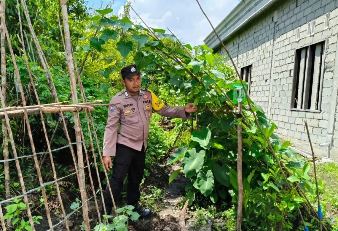 C3f00723c3bea36ea13af2c6be24ca42