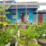 C8c06043 08f3 4da1 84cb baed695a1737