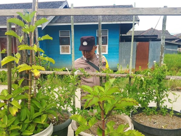 C8c06043 08f3 4da1 84cb baed695a1737