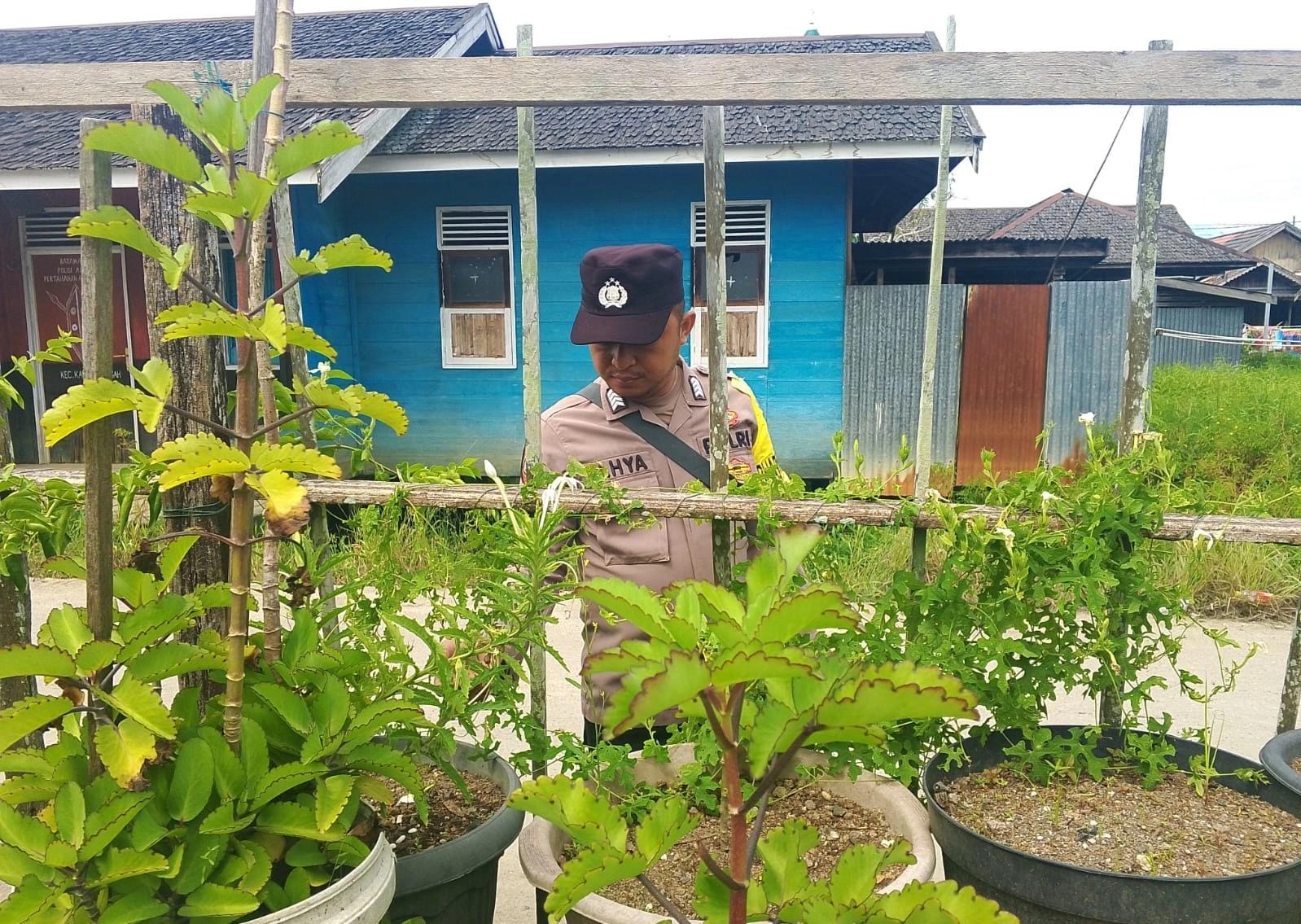 C8c06043 08f3 4da1 84cb baed695a1737