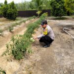 Cbad09e9 be9d 448d a44b e122d8b8ae8c