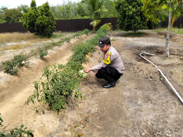 Cbad09e9 be9d 448d a44b e122d8b8ae8c