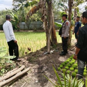 065ab721 91de 432e 97b1 e47047e21850