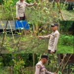 285fad9c01b8661a620a34b4aad969ec