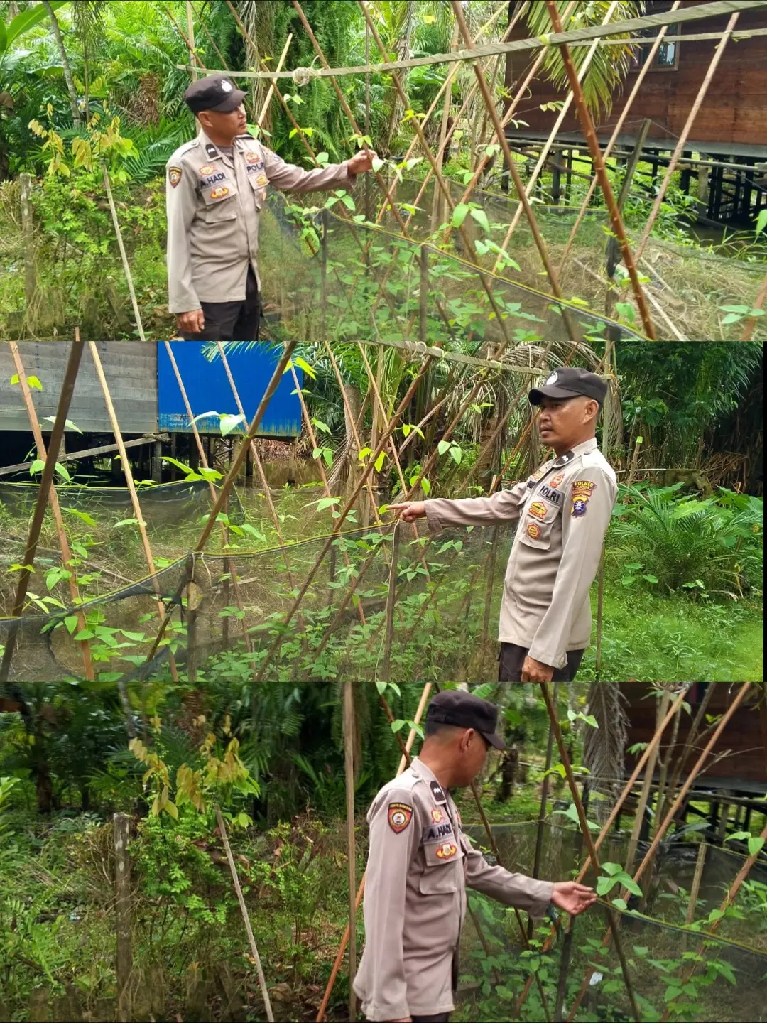 285fad9c01b8661a620a34b4aad969ec