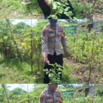 33d6e8be0349e2c180555c8431cc4636