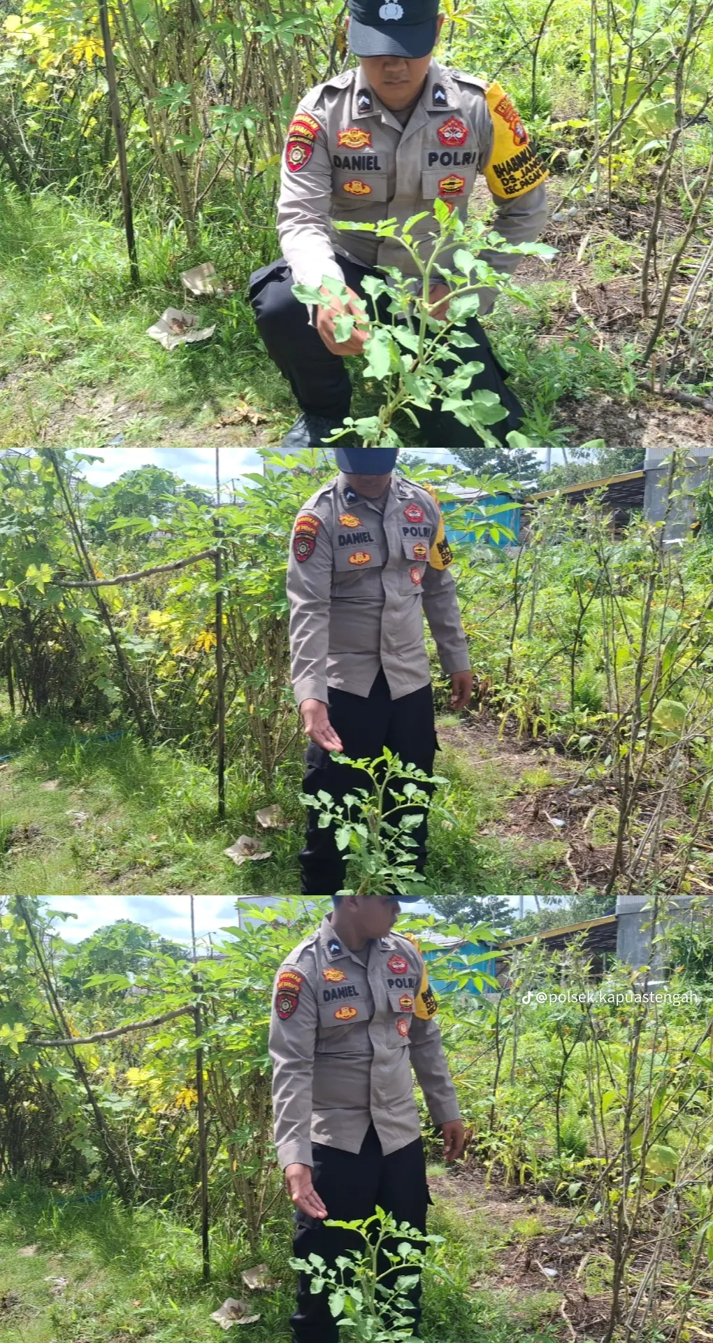 33d6e8be0349e2c180555c8431cc4636