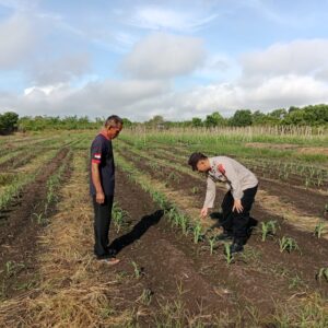 5073ef37 e979 4ad5 be50 2a34f3c294d3