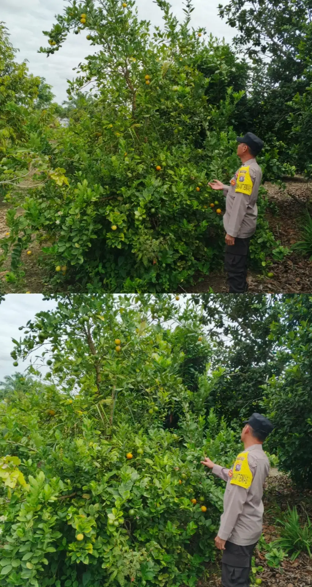 61d2623168e670b9e58aafb3820fa2e9