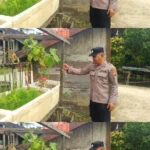 95383ac9af414af32036dcaea3b6376a