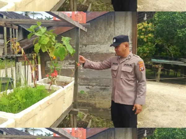 95383ac9af414af32036dcaea3b6376a