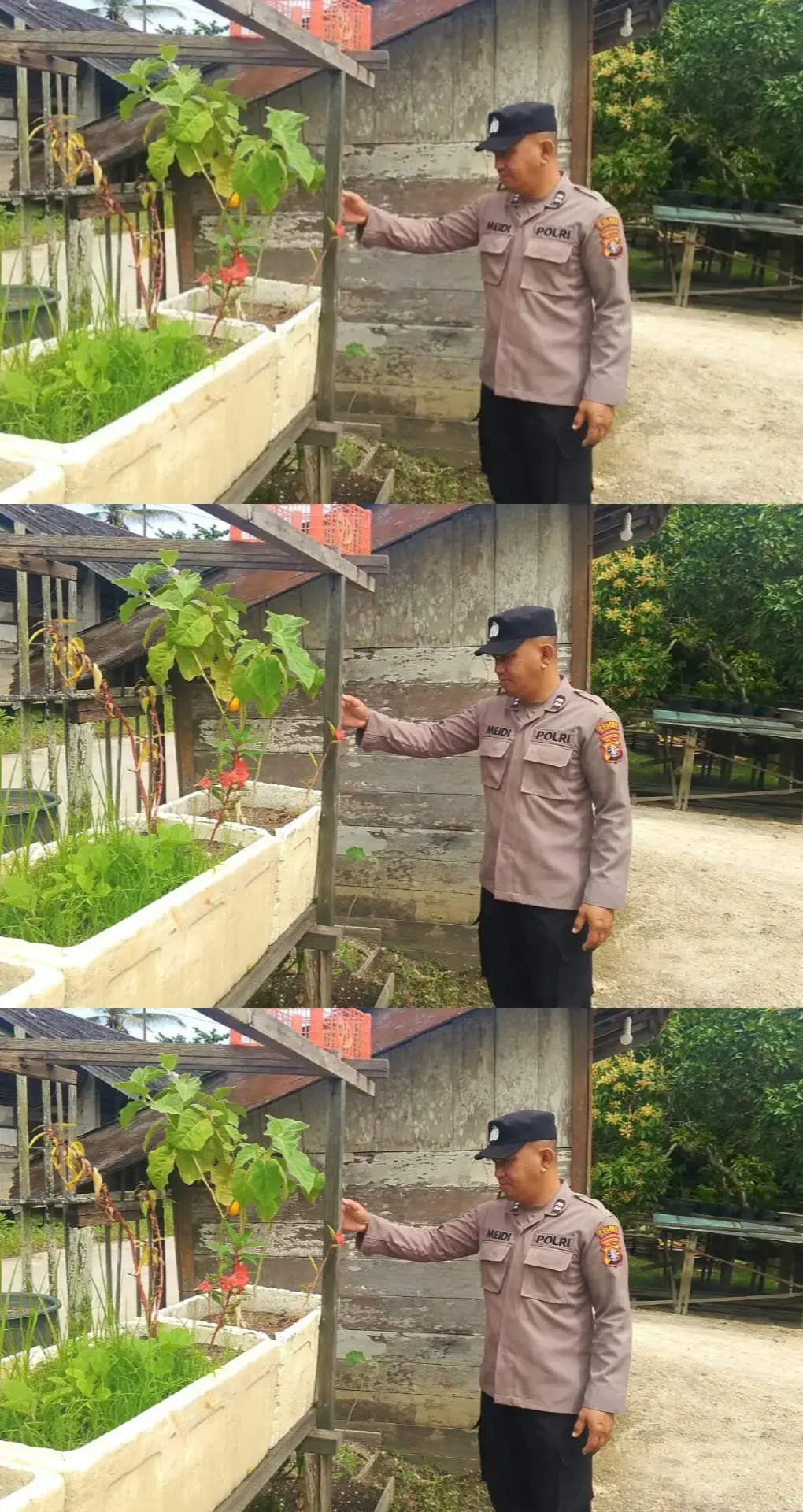 95383ac9af414af32036dcaea3b6376a