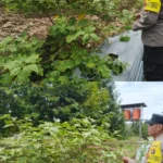 9eb71b97d657b74453e17faba1b5e16c