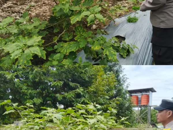 9eb71b97d657b74453e17faba1b5e16c