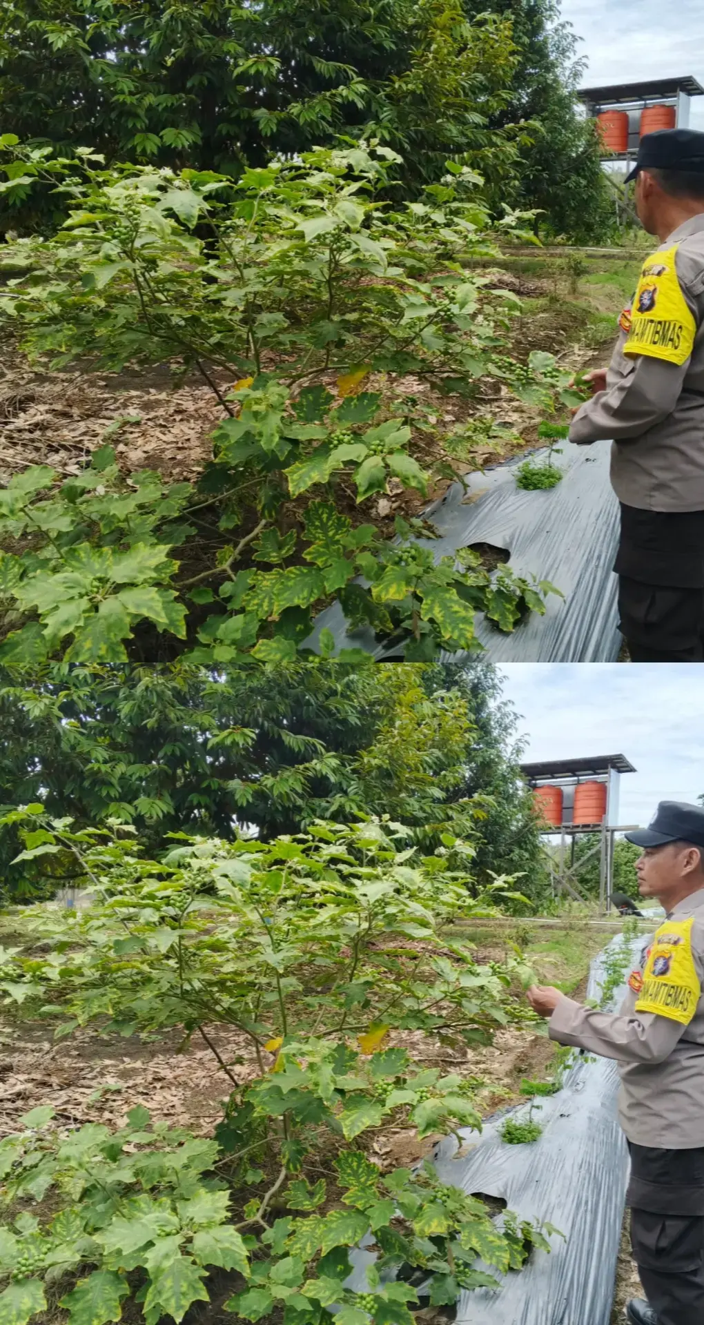 9eb71b97d657b74453e17faba1b5e16c