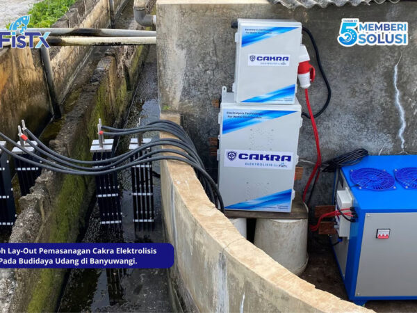 Era Baru Budidaya Udang Indonesia Tiba