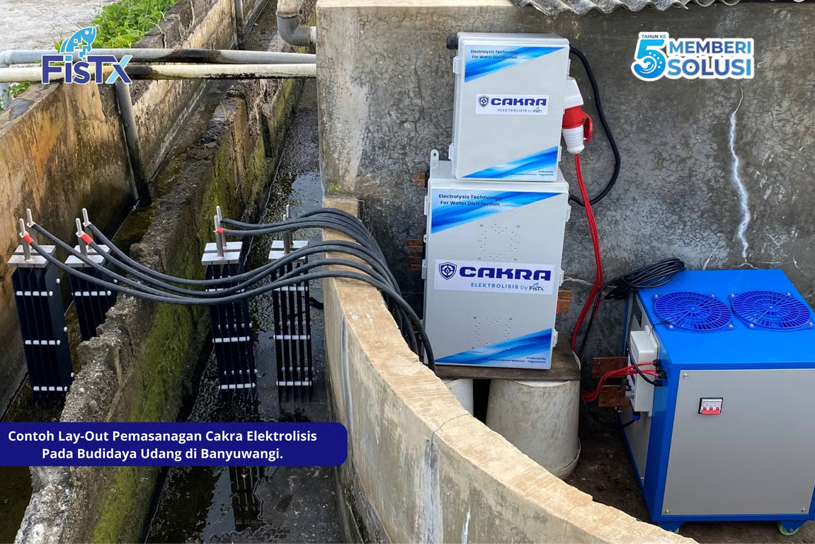 Era Baru Budidaya Udang Indonesia Tiba