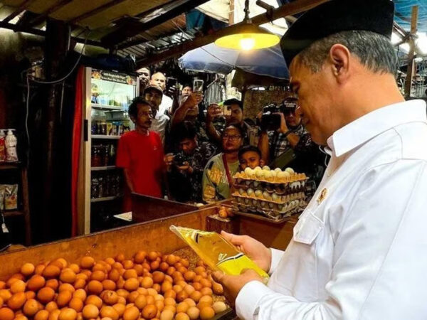 Mentan Soroti Harga Minyak Goreng