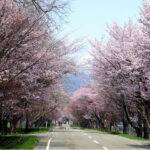 Rekomendasi Event Lari Maraton & Jalan Santai di Hokkaido (1)