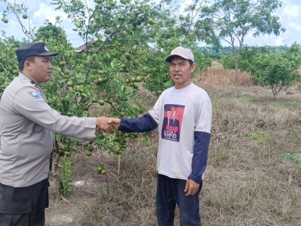 WhatsApp Image 2024 11 03 at 12.16.43