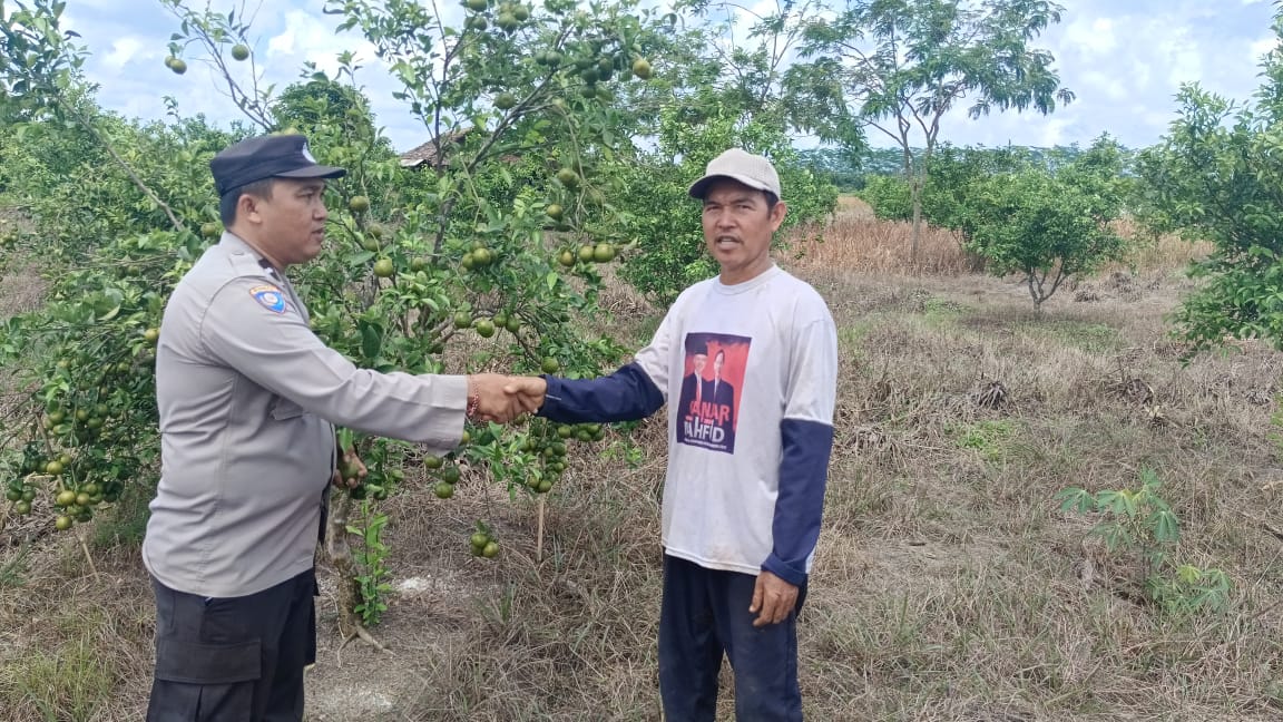 WhatsApp Image 2024 11 03 at 12.16.43