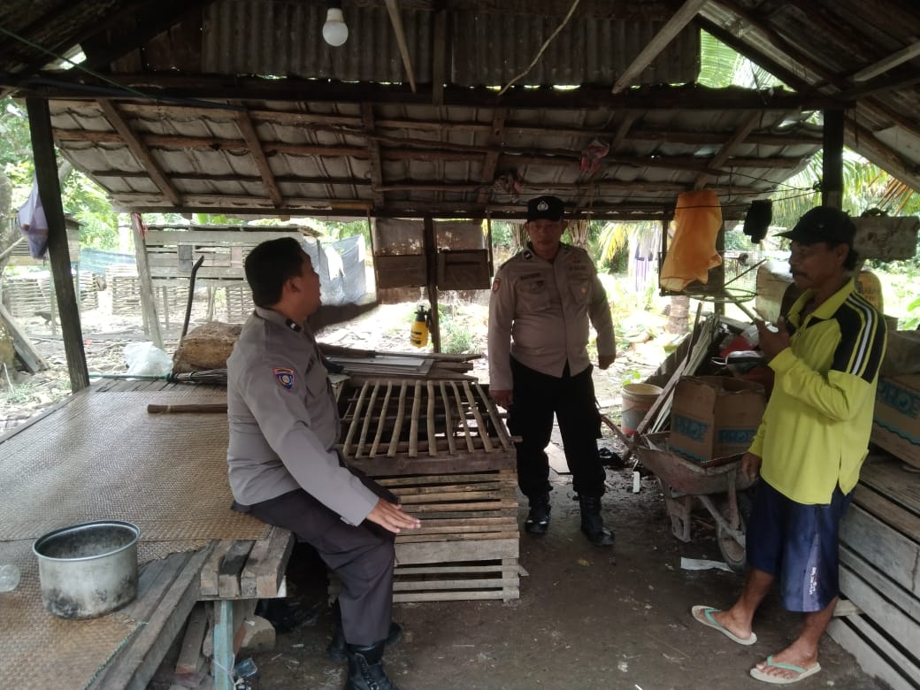 WhatsApp Image 2025 01 11 at 10.12.34