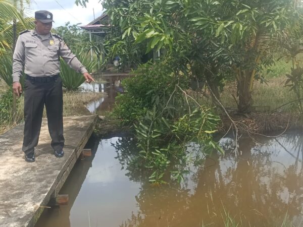 WhatsApp Image 2025 11 24 at 13.09.18 (1)