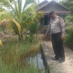 WhatsApp Image 2025 11 24 at 13.09.18