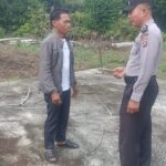 WhatsApp Image 2025 12 03 at 11.08.54 (1)