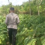 WhatsApp Image 2026 01 14 at 12.43.08 (1)