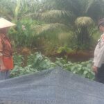 WhatsApp Image 2026 01 20 at 13.21.44 (1)