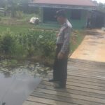 WhatsApp Image 2026 02 16 at 12.49.31