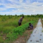 WhatsApp Image 2026 03 01 at 09.35.40