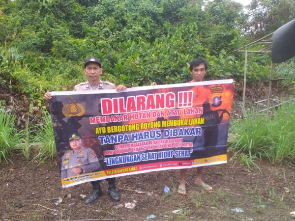 WhatsApp Image 2026 03 02 at 17.31.46