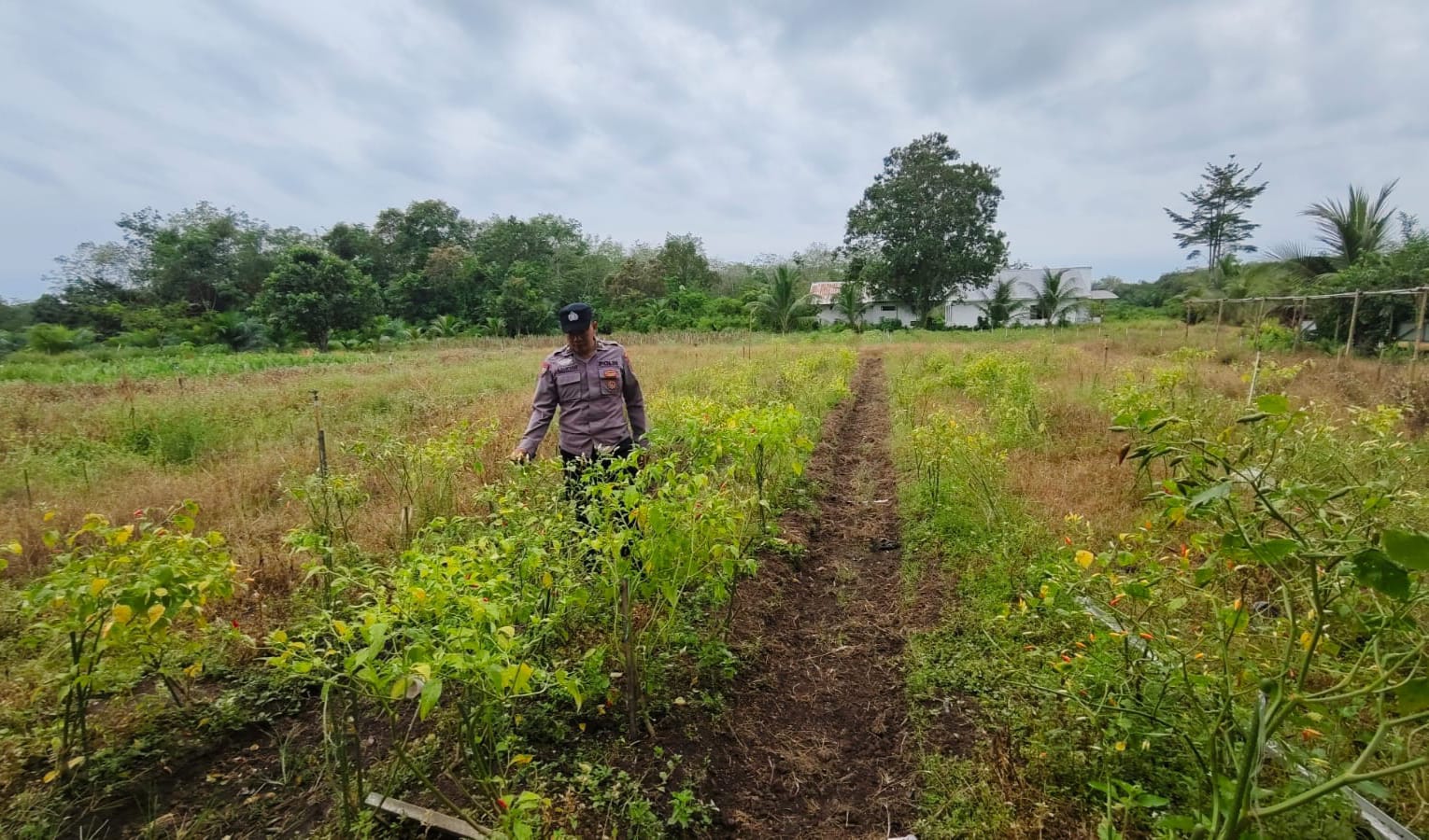 WhatsApp Image 2026 03 03 at 19.42.19