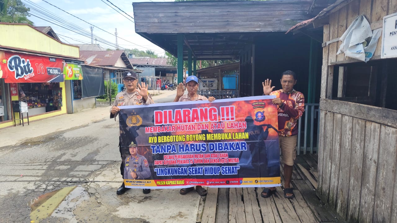 WhatsApp Image 2026 03 03 at 19.48.40