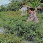 WhatsApp Image 2026 03 04 at 09.00.01