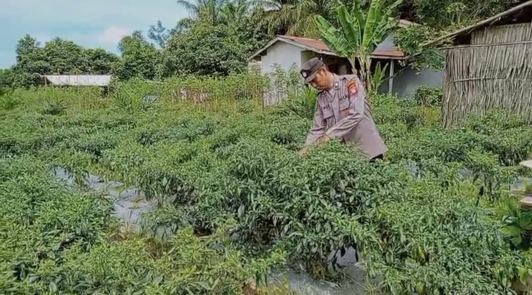 WhatsApp Image 2026 03 04 at 09.00.01