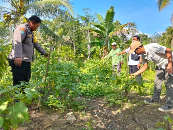 WhatsApp Image 2026 03 04 at 14.29.18 (1)