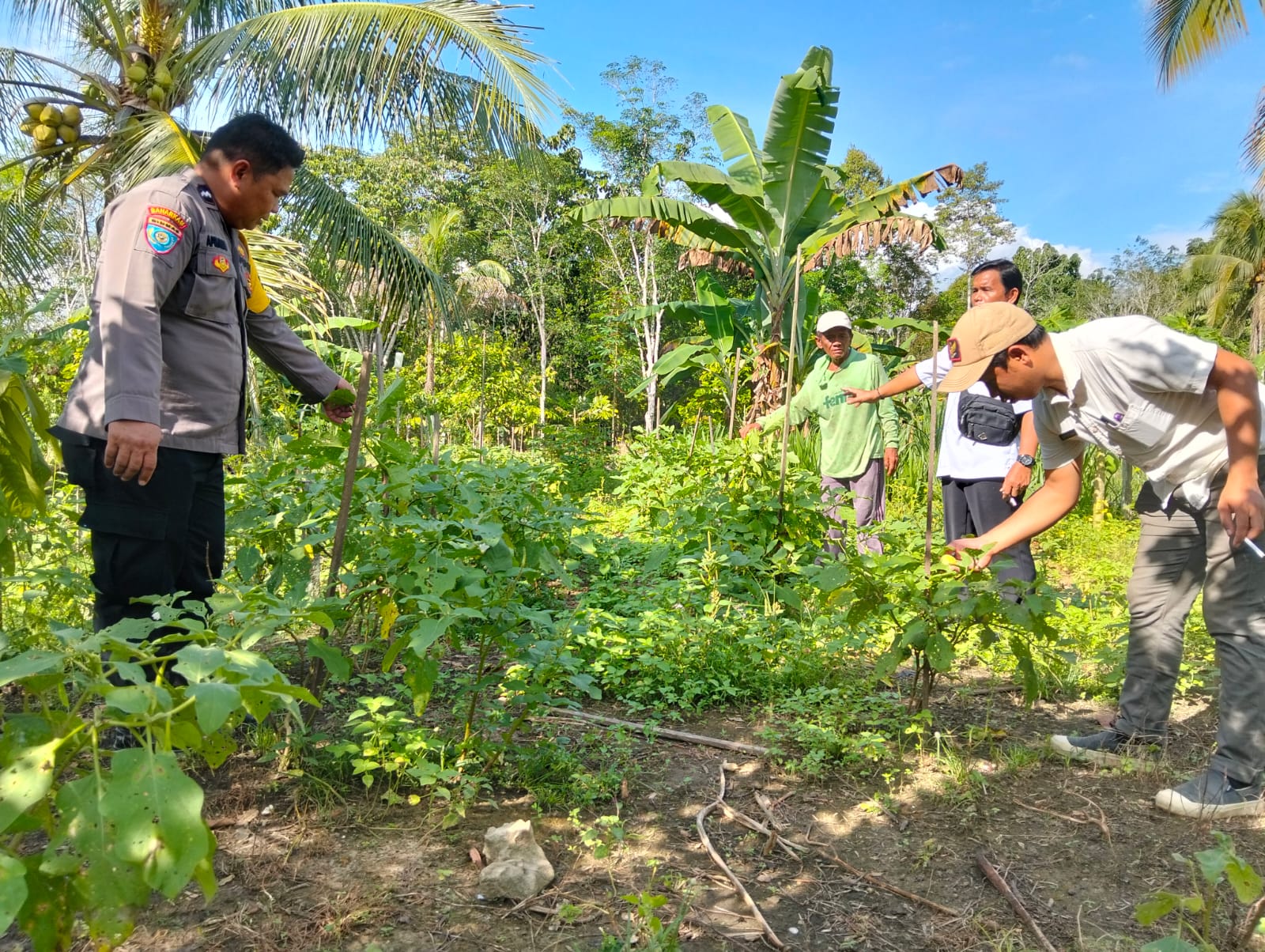 WhatsApp Image 2026 03 04 at 14.29.18 (1)