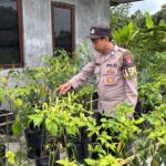 WhatsApp Image 2026 03 05 at 09.14.23