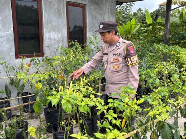 WhatsApp Image 2026 03 05 at 09.14.23