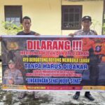 WhatsApp Image 2026 03 05 at 17.19.01